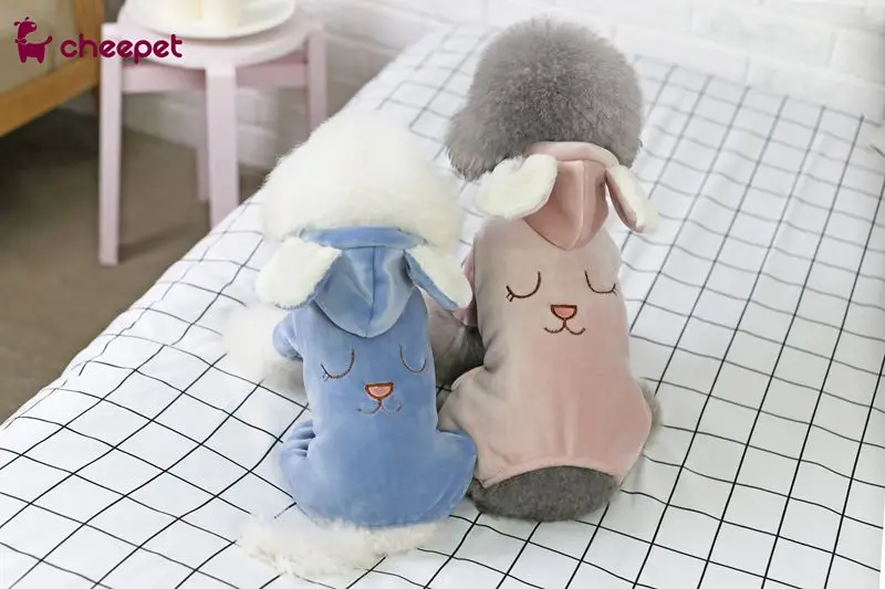 dog clothes (10)
