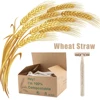 50/100 Pieces Eco-friendly Manual Razor Wheat Straw Disposable Razor Biodegradable Material  Two Layer Blade Shaving Razor ► Photo 1/6