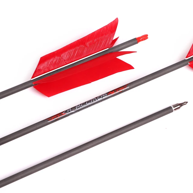 Flèches Tir à L'arc Chasse 31 Flèches En Carbone SP500 Pour