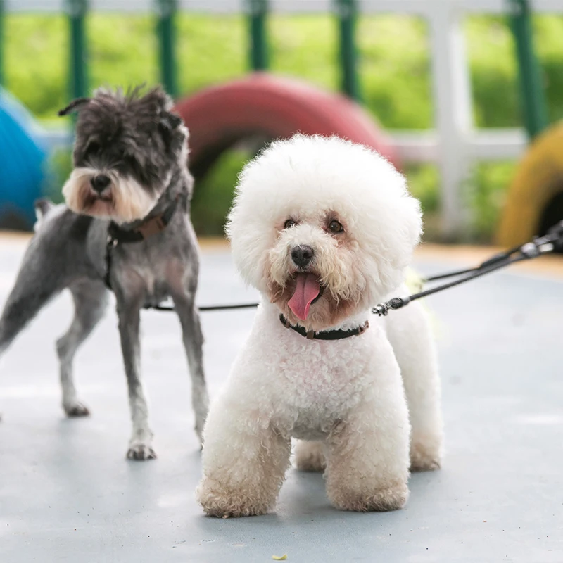 Двойной поводок для собак dadugo, безопасный поводок для прогулок, поводок для 2 собак, нейлоновый поводок, размер s/m, 4 цвета, Прямая поставка