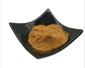 

High Quality Grifola frondosa Extract/ Maitake Mushrooms Extract 50%