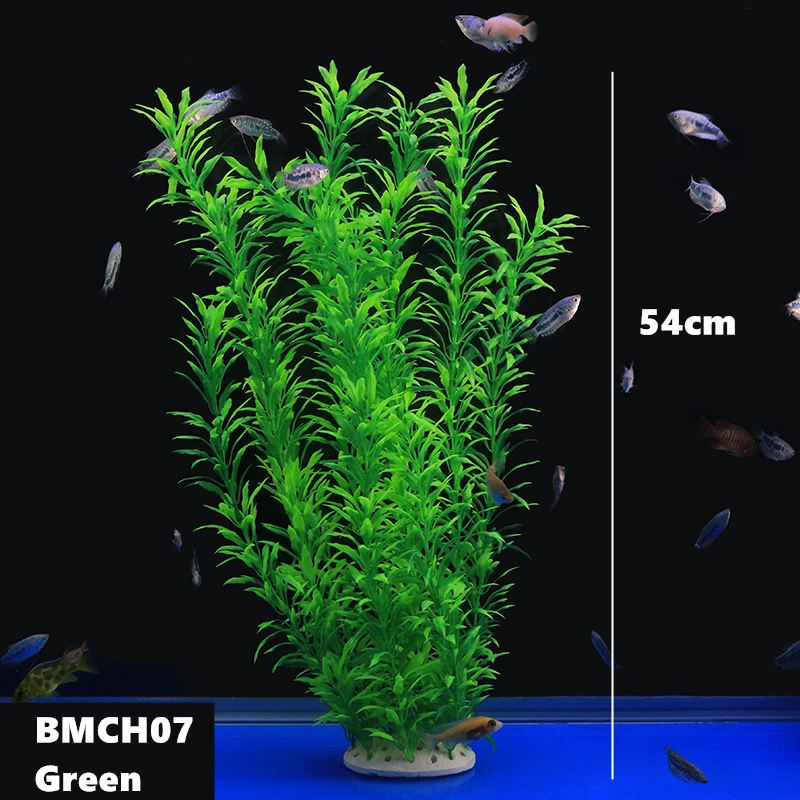 BMCH0267 (7)