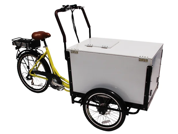 Front Load Tricycle Ice Cream Bike For 