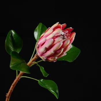 

Tropical Plants Simulation Emperor Flower Princess Flower Model Room Home Living Room Decoration Silk Flower