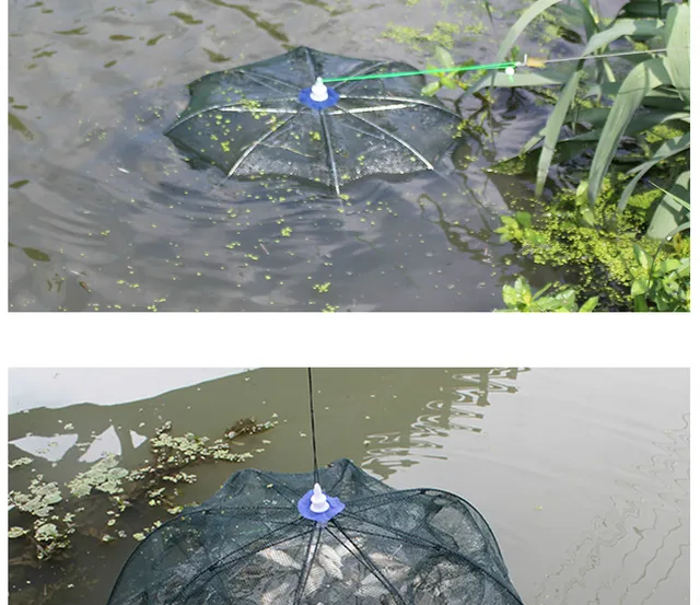 6-24 Holes Automatic Umbrella Fishing Net Shrimp Cage Foldable Crab Loach  Fish Trap Cast Net Cast Folding Fishing Network Pesca - AliExpress