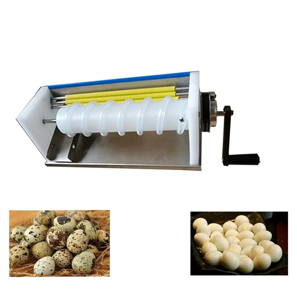 Machine à laver les œufs frais, nettoyeur automatique de coquilles d'œufs,  2020 - AliExpress