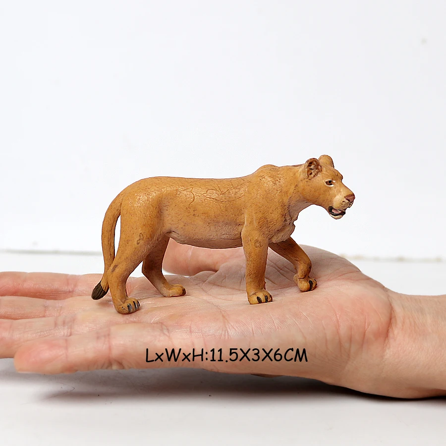 Female Kruger Lion