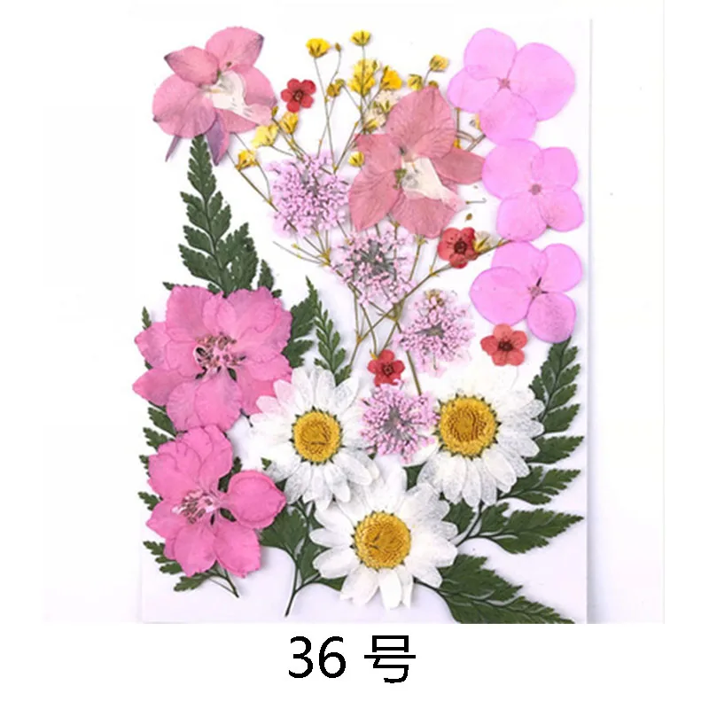 Прессованный цветок смешанные органические натуральные сушеные цветы DIY Искусство Цветочные Декорации коллекция подарок