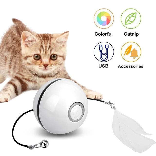 Best SelfRolling Cat Toys Of 2021 On Amazon For Interactive Play