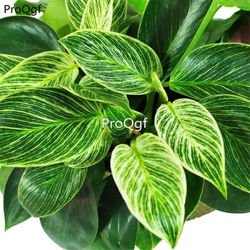 

Ngryise 2Pcs A Set Philodendron