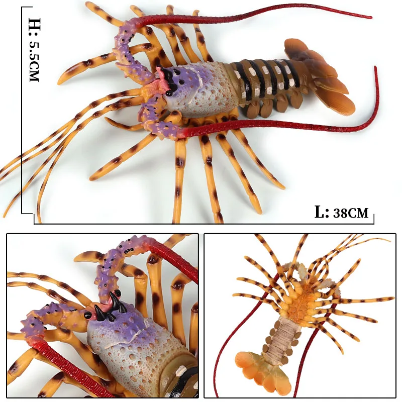 Oenux Моделирование большой размер Морская жизнь Langouste Омаров животные модель океан животное Бостонский Омаров Фигурки игрушки детский подарок