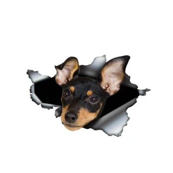 

Dawasaru Miniature Pinscher Torn Metal Car Sticker Waterproof Pet Decal Laptop Suitcase Motorcycle Auto Accessories PVC,13cm*8cm