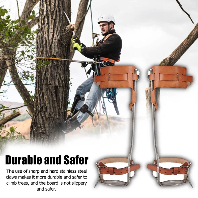 Tree Climbing Gear Climbing Spikes Non-slip Climbing Tree Shoes For Hunting  Observation Picking Fruit Jungle Survival And More - Climbing Accessories -  AliExpress
