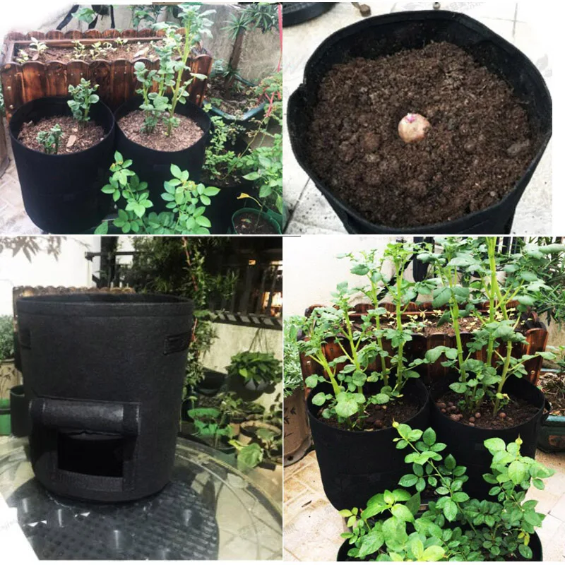 Potato Pot Plant Grow Bags Jardin  Planting Bag Home Garden Fruit  Fabric Plants Growing Moisturizing 4/7/10 Gallon