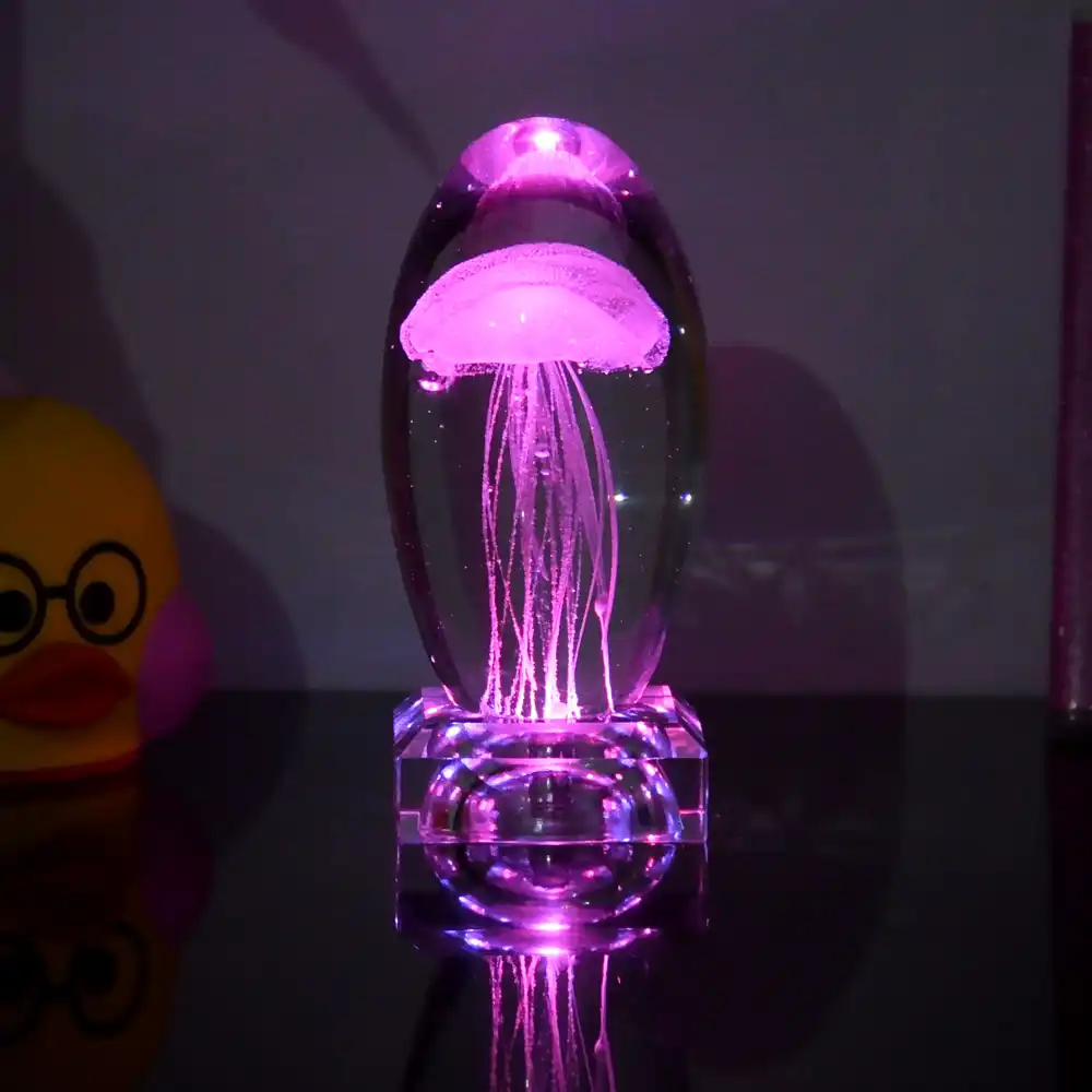 multicolor room lights