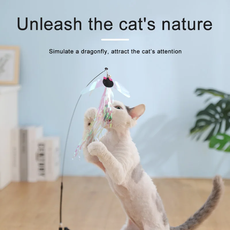 MADDEN Suction Cups Funny Cat Sticks Fishing Rod Interactive Cats Toy  Elastic Teaser Kitten Wands With Feather Bell Cat Teaser, Funny Cats  Falling In Water