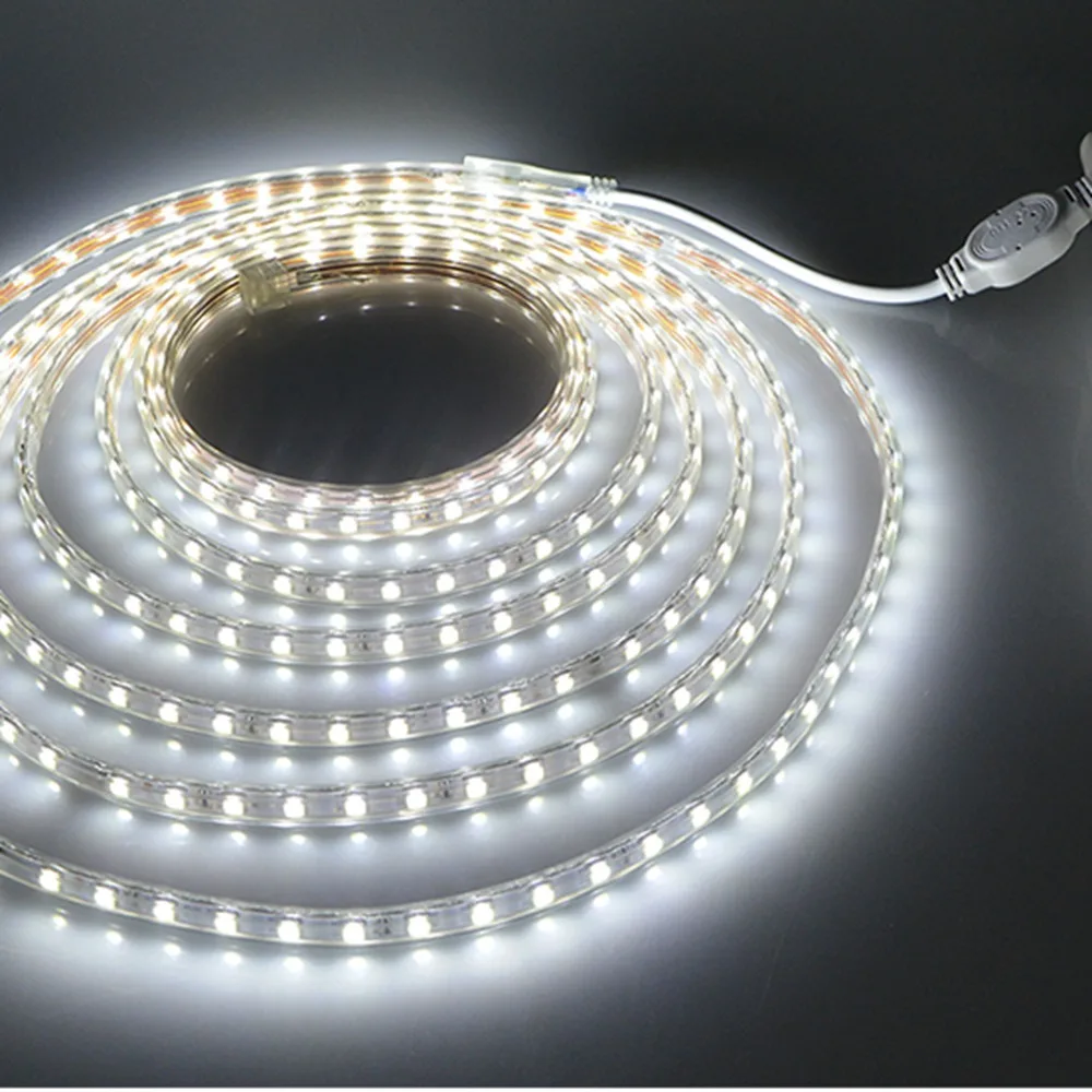 AC220V SMD 5050 Светодиодные ленты гибкий светильник 60 светодиодный s/M Водонепроницаемый светодиодный лента светодиодный светильник с Мощность штекер Адаптер длиной 1 м/2 м/5 м/8 м/10 м/15 м/20 м/ 50 м/100 м