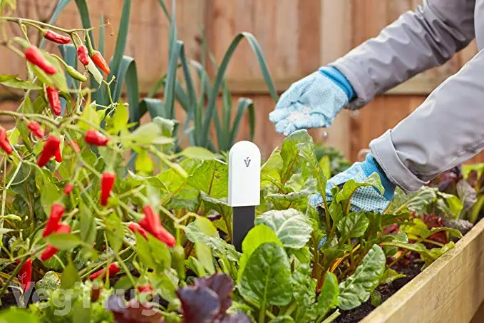 81pfL%2BdlD7L._AC_SX679_