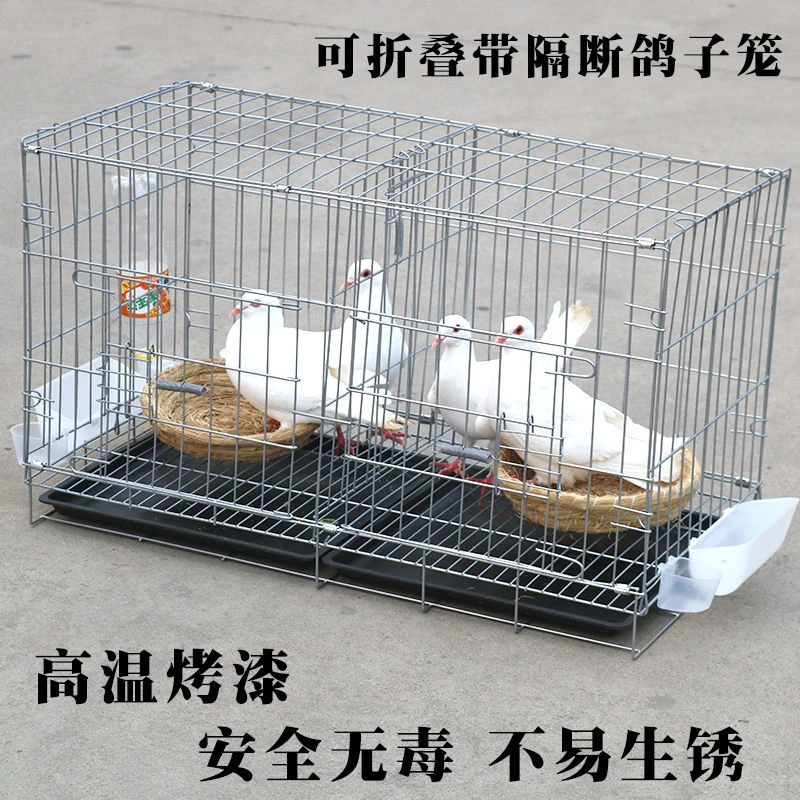 Pigeon Breeding Cage Size ubicaciondepersonas.cdmx.gob.mx