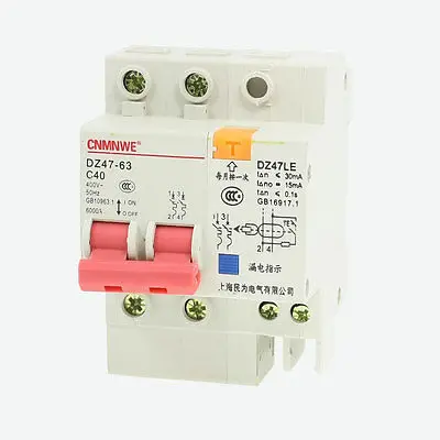 

DIN Rail Mount Two Poles Miniature Circuit Breaker 400VAC 40A 6000A DZ47LE-63