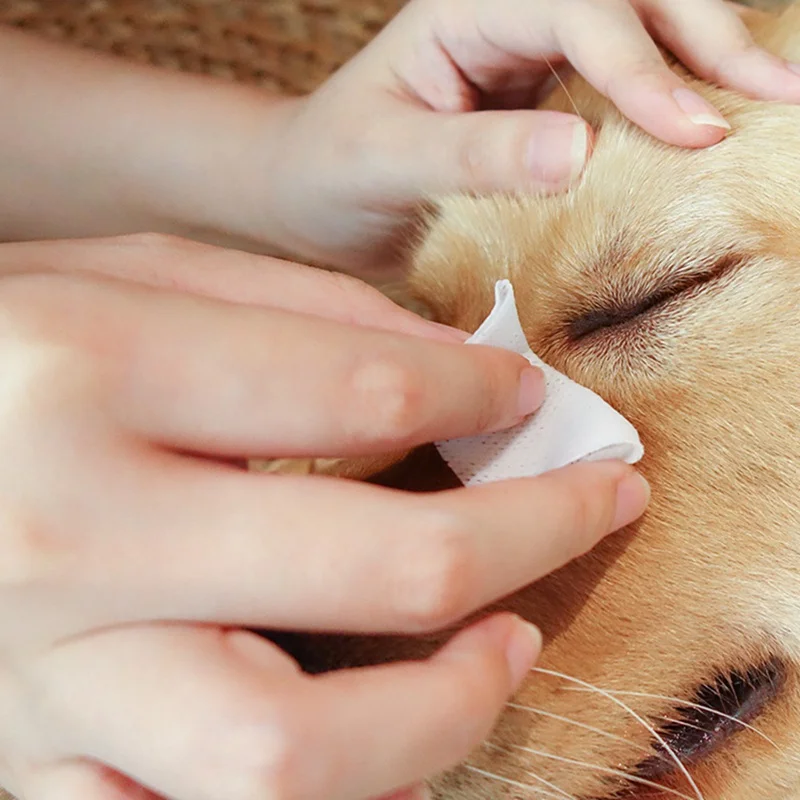 Домашнее животное профессиональная чистка гипоаллергенные салфетки для кошек, дезодорирующие Уход за глазами влажные салфетки для чистки кошек салфетки для глаз