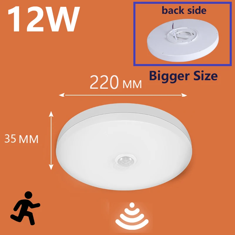 Motion Sensor LED Ceiling and Wall Light for Home and Hallway - Night Light Function, Energy Efficient