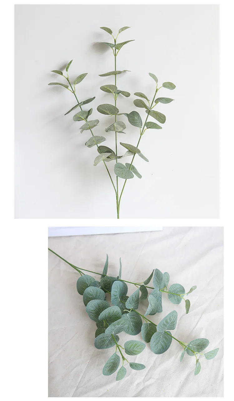 9381389204_1245478559