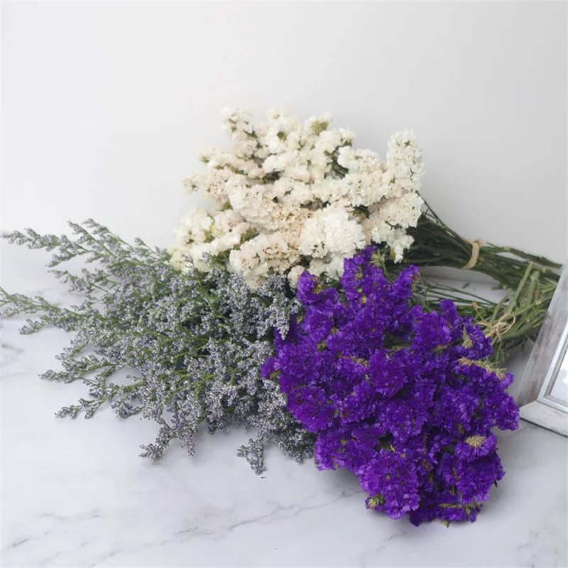 20pcsdried forget-me-Not букет цветов натуральные растения рождественское свадебное украшение цветы композиция без вазы