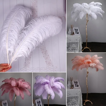 

Wholesale 10pcs/lot Elegant White Ostrich Feathers 60-65cm For Craft Wedding Party Supplies Carnival Dancer Decoration Plumages