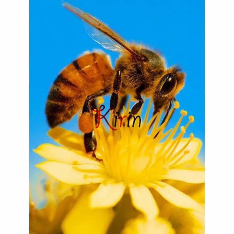 Kirin show Full Square Diamond Mosaic Flower And bee 5D DIY Painting Embroidery Rhinestones Decor Home Art Crafts | Дом и сад