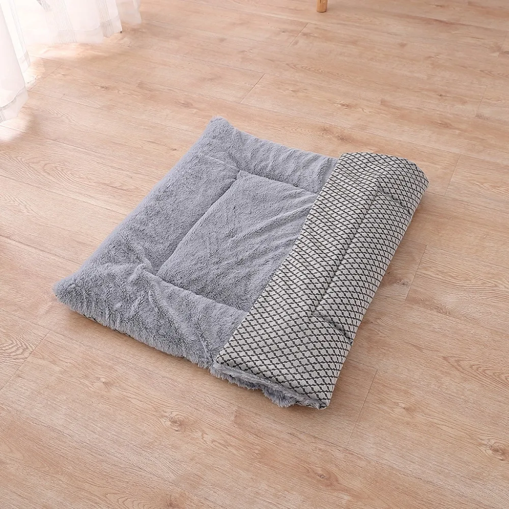 LJF90912771_1114247661311761844