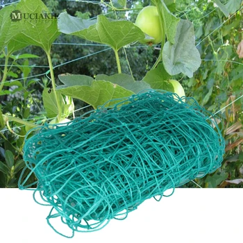

Garden Vegetable Fruit Climbing Plant Support Netting Mesh 10x10cm Vertical Clematis Climber Trellis Netting Cucumber Garden Net