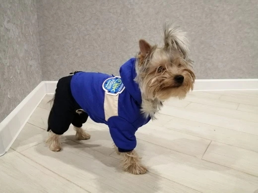 Ucd2407acd82d495a8f0664da6bf2b2e17