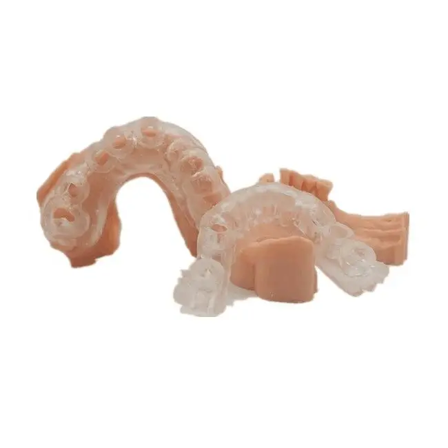 dental resin3