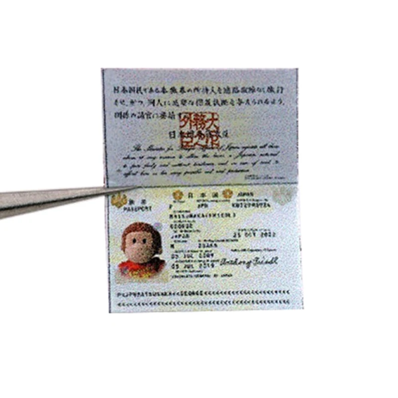 Mini tarjeta de identificación Passport 1:12 Escala Miniatura De Casa De Muñecas Muebles certificado T ~ WL 