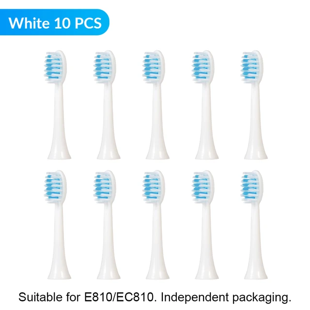 Ultrasonic Electric Toothbrush Wireless Charging for Adult IPX7 Waterproof Replacement Heads Whitening Teeth Timer Smart Brush WH 10 PCS