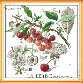 

Cherry Embroidery Floss DMC Cross Stitch DIY Needlework 14CT 11CT Counted China Cross Stitch Kits for Embroidery Cross Crafts