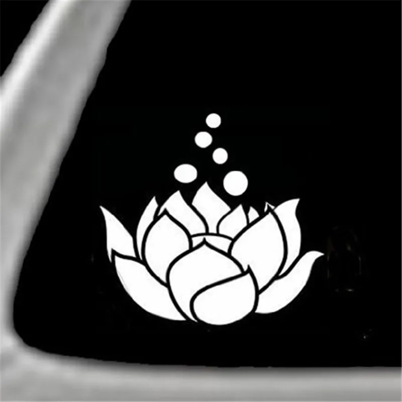 6_