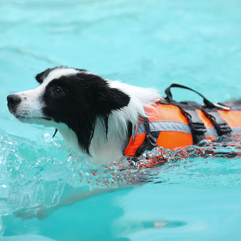 Dog Training Vest Save Life Dog Clothes Safety Protector Dogs Life jacket Cool Down Summer Winter Clothes Costume For Dogs
