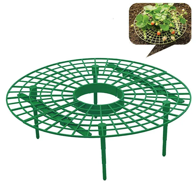 1x support strawberry planting support fruit planting support plant climbing glass accessories flower pillar gardening support