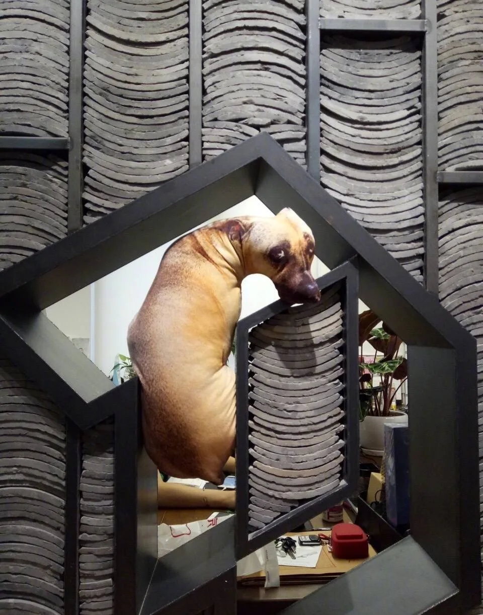 aeProduct.getSubject()