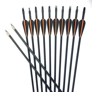 

3/6/12/24pcs SP500 80cm 8mm Fiberglass Arrow With Replaceable Arrowhead and Nock Proof For Compound/Recurve Bow Hunting Practice