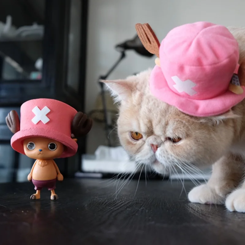 

Anime Peripheral One Piece Glasses Factory Stylist X Photo Home Super Gismo Red Hat Gismo Garage Kit