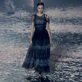 

European Grand Prix 2019 Fashion Show Women's round Neck Sleeveless Gauze Printing Long Pleated Dress