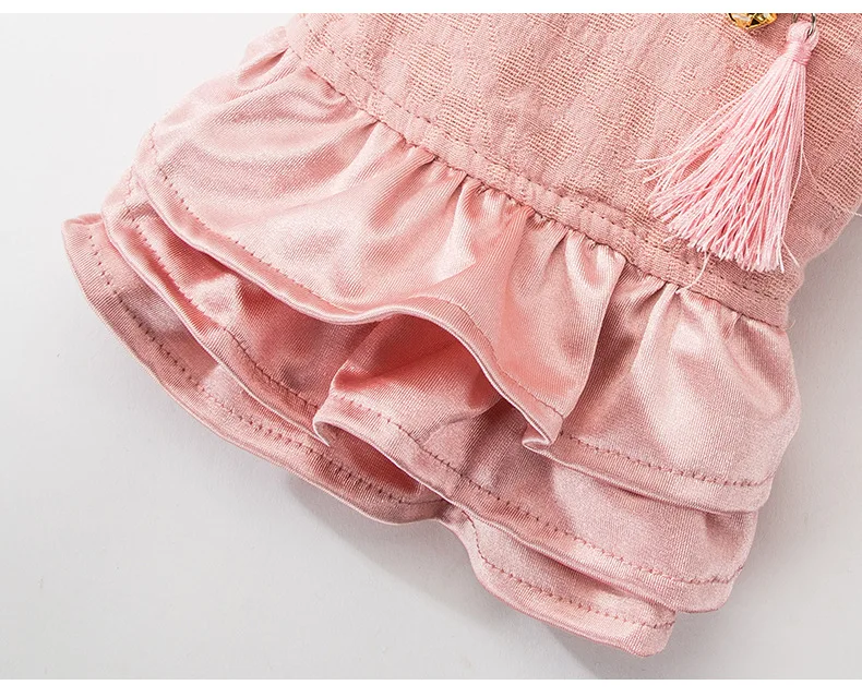 Ambaby/Одежда для домашних животных в стиле ретро с воротником и кисточками; Китайская одежда; осенне-зимняя одежда; Теплая Зимняя юбка принцессы для маленьких плюшевых собак