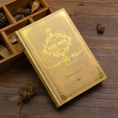 A5 libreta винтажный школьный Ежедневник для учебы, дневник из материала libretas y cuadernos creativos filofa - Цвет: 160 sheets