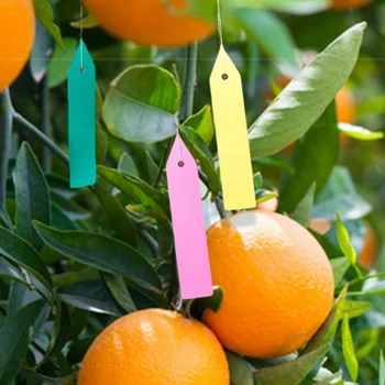 

100Pcs Tree Fruits Seedling Garden Flower Pot Plastic Sign Reusable PVC Plants Hole Tag Labels Classification Plants Name Card