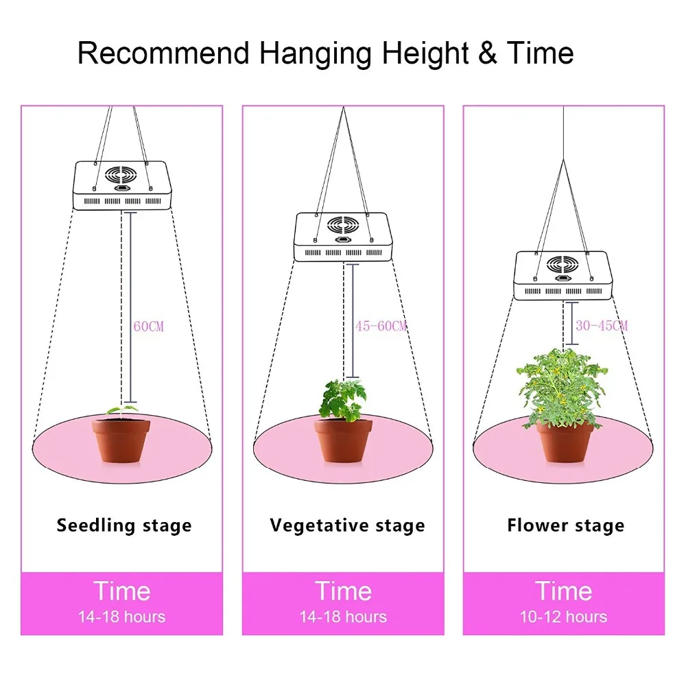 71x1XJ-wPKL._SL1500_