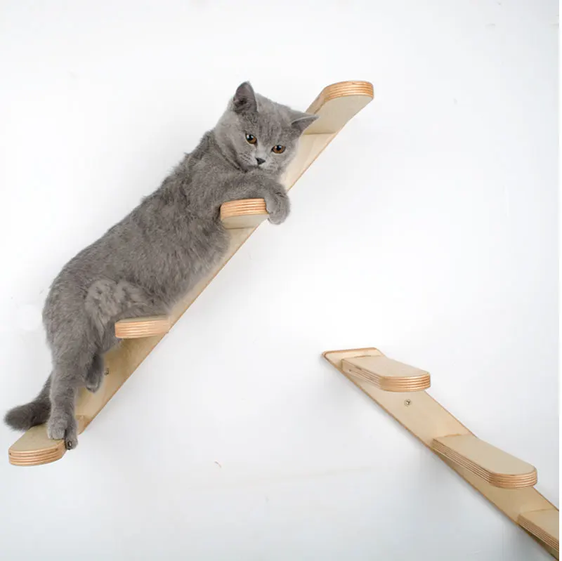 ladder_11