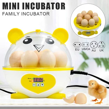 

Egg Incubator by Backyard Farm Egg Incubator with Automatic Egg Turning for Hatching Eggs Bird Poultry Chick Hatcher in stock